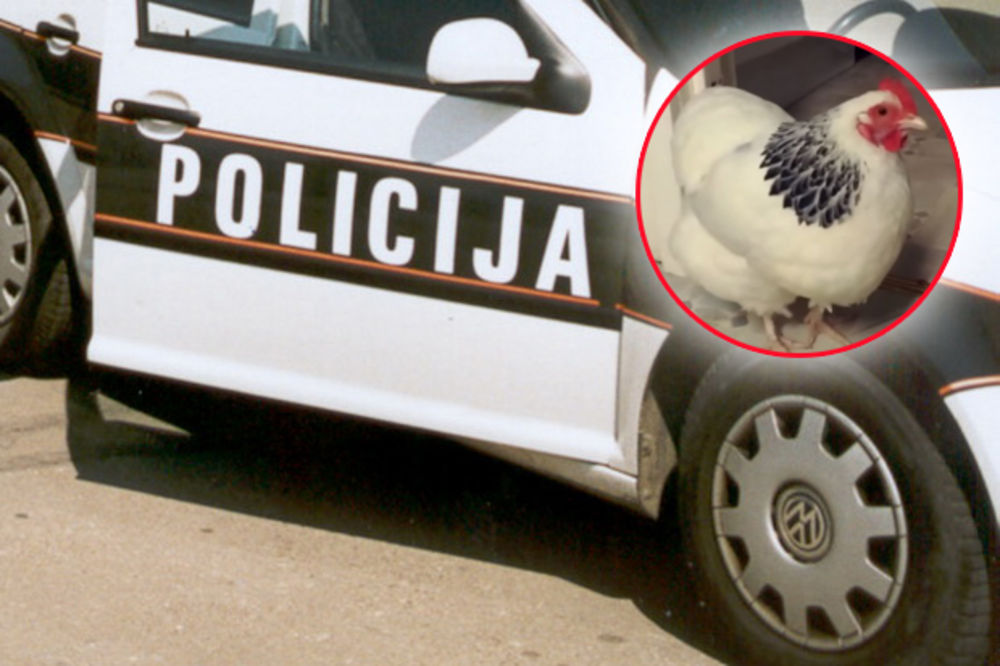 POLICAJKA NASRNULA NA STARCA (80): Potegla pištolj zbog kokošaka, pa izvukla deblji kraj!
