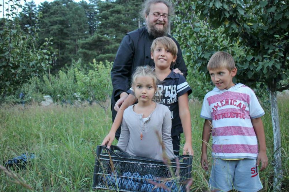 (FOTO) UZDRAVLJE VAM ŠLJIVE BILE: Berba u Visokim Dečanima veselija uz dečju graju!