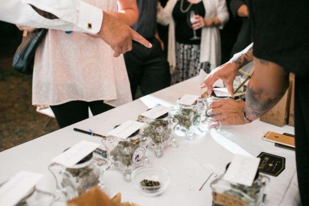 (VIDEO) NJIHOVA SVADBA JE HIT: Mladenci počastili goste švedskim stolom punim marihuane!
