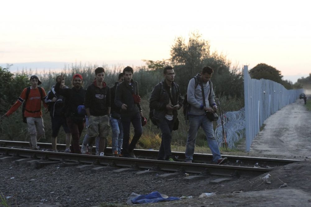 POSLE SUZAVCA I HAPŠENJA: Izbeglice se vratile u kamp u Mađarskoj
