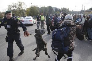 INCIDENT NA GRANICI: Tuča izbeglica na austrijskom prelazu Špilfeld!
