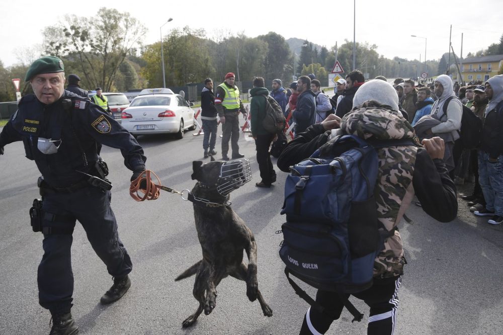STIGLA ISPOMOĆ: I austrijski policajci kontrolišu mađarsko-srpsku granicu!
