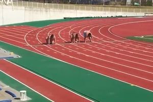 (VIDEO) NJIH TREBA DA SE PLAŠI JUSEIN BOLT: Tri sumo trkača obaraju rekorde u trčanju