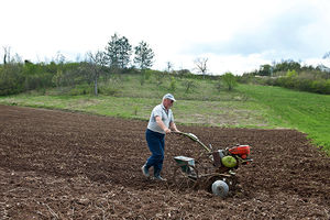 SRAMOTA: Srbija u poljoprivredi izgubila 25 milijardi evra