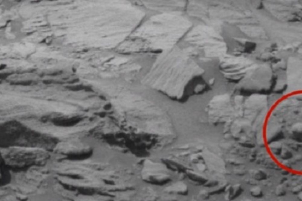 (FOTO I VIDEO) MISTERIJA NA MARSU: NASA uslikala malenog glodara?!
