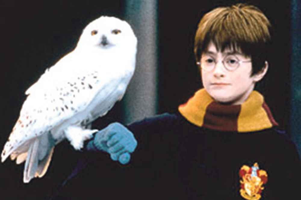 (FOTO) DEČAK KOJI JE PREŽIVEO VIŠE NIJE DEČAK: Pogledajte kako izgleda Hari Poter sa 40 godina