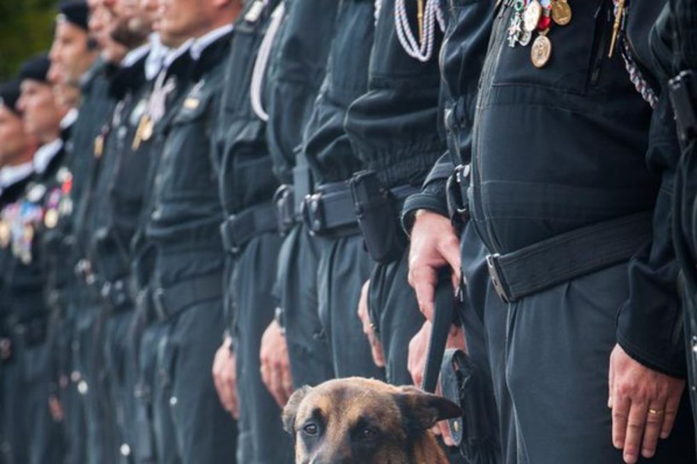 (FOTO) POLICIJA PLAČE ZA NJIM: Ovaj pas je jutros poginuo u borbi sa teroristima u Parizu