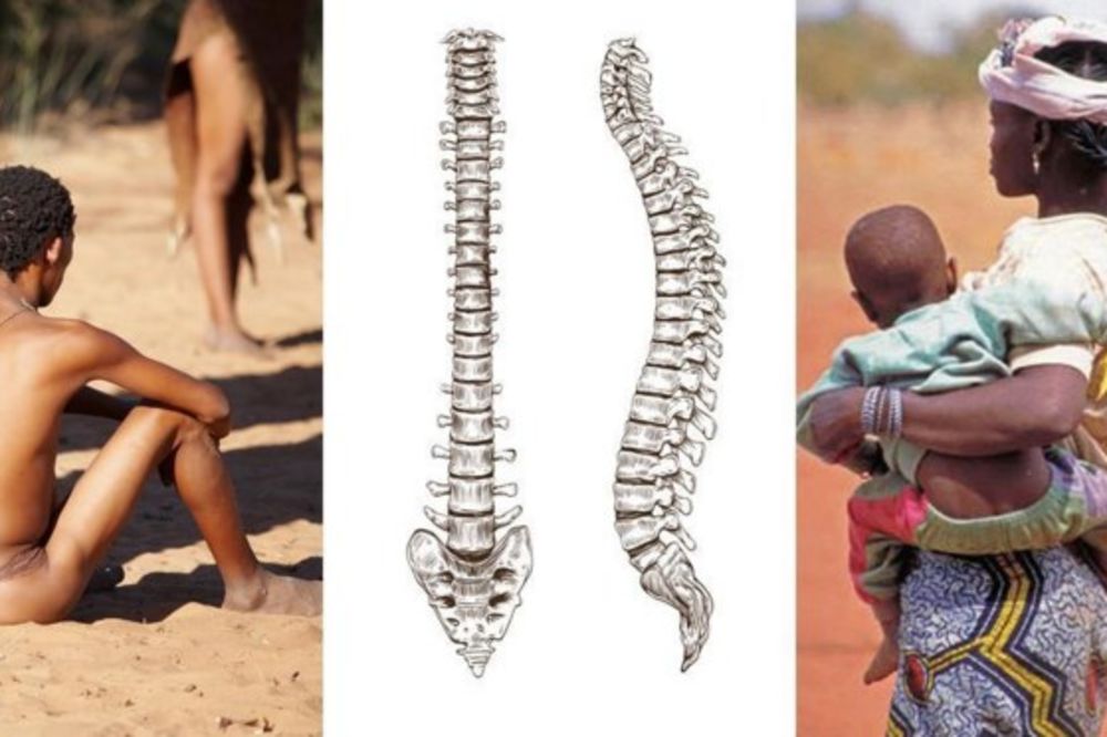 Evo zašto urođeničke kulture nemaju problema sa leđima