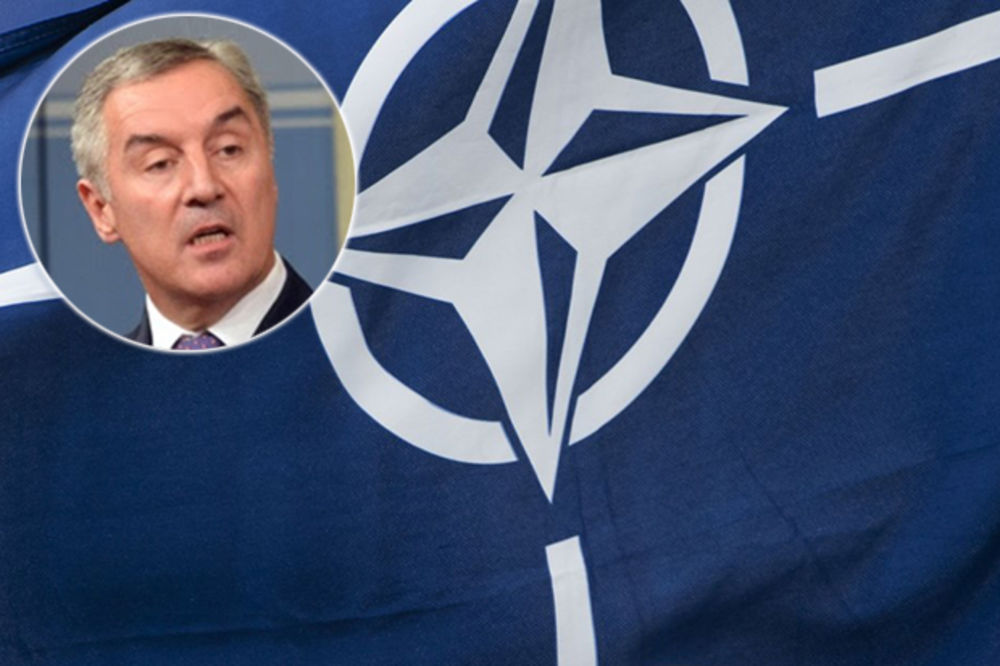 MALA VAJDA OD CRNE GORE U NATO: Nikakva pomoć u sukobu sa Rusijom