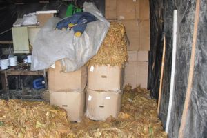 ŠABAC: Pronađeno 1,3 tone nelegalnog duvana