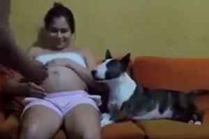 (VIDEO) PRAVI ZAŠTITNIK: Ovaj pas ne da nikome da pipne stomak njegove trudne vlasnice