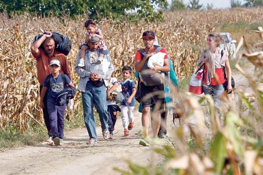 DIVLJI IZBEGLIČKI KAMP NIKAO IZA KELEBIJE: Migranti na ničijoj zemlji čekaju ulazak u Mađarsku
