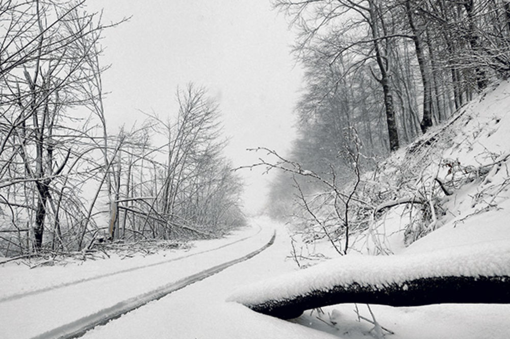 LEDENI TALAS U SRBIJI: Evo kad će pasti prvi sneg! A za Novu godinu...