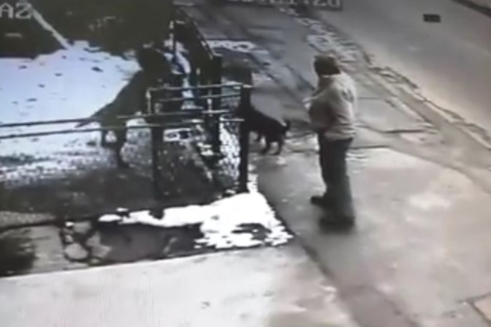 (VIDEO) PREPOZNAJETE LI OSOBU SA SNIMKA: On je pokušao da ukrade psa iz dvorišta, evo i kako