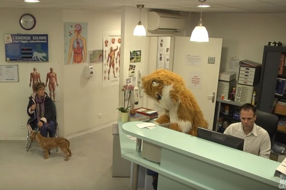 (VIDEO) PARALELNI SVET REMIJA GALJARDA: Komičar snimio novi skeč u azilu za životinje