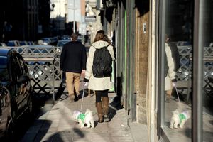 VRAĆA NAM SE SUNCE: Ujutru sveže i oblačno sa KIŠOM, po podne RAZVEDRAVANJE