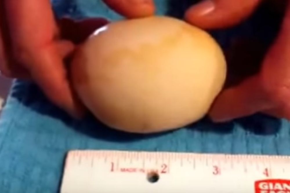 (VIDEO) Nikada nećete pogoditi šta je farmer pronašao u ovom džinovskom jajetu