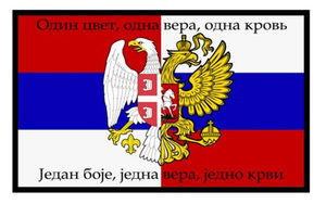 SPRSKI HAKERI SRUŠILI HRVATSKI SAJT: Okačili srpsku i rusku zastavu i Šešelja s kokardom!