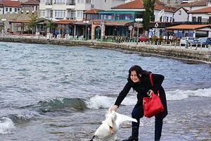 (FOTO) UBILA LABUDA ZBOG SELFIJA: Hvatala pticu za krila zbog glupe fotografije