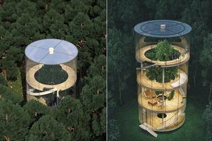 BEG OD SPARNIH GRADSKIH ULICA: Impozantna staklena kućica sagrađena oko drveta