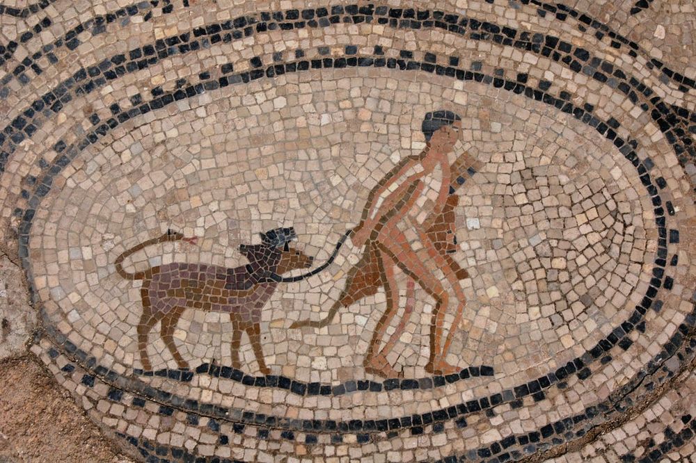 (FOTO) VERAN KAO PAS: Kako su davali imena psima u antičkom svetu?