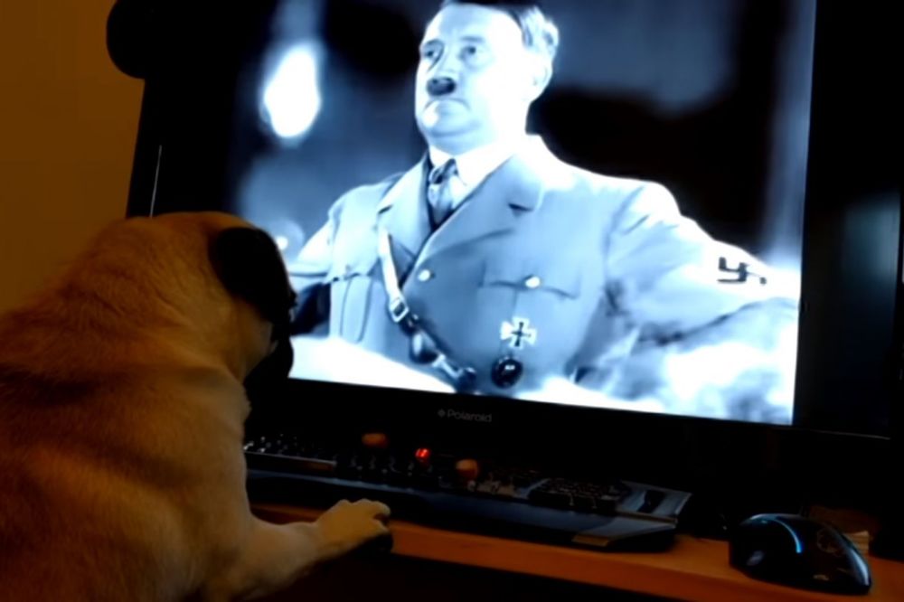 (VIDEO) PAS NACISTA: Naučio je svog ljubimca da imitira Adolfa Hitlera