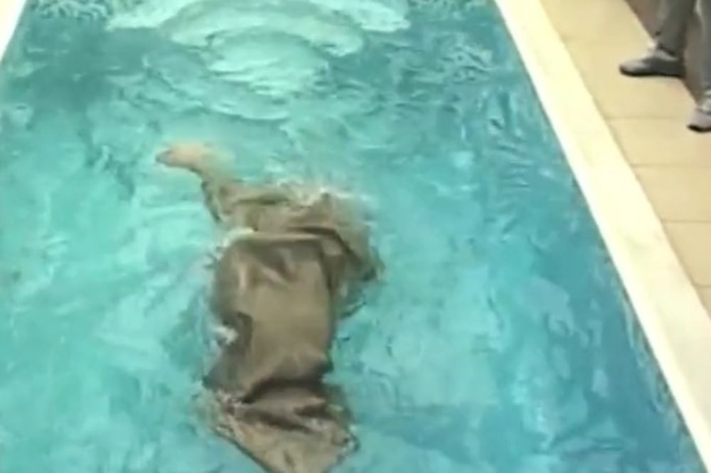 (VIDEO) DRAMA U PAROVIMA: Zmaj se davio u bazenu