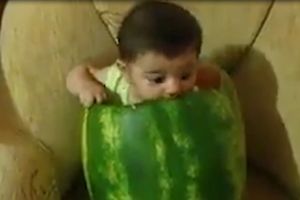 (VIDEO) MLJAC, MLJAC: Ovaj mališa baš uživa u lubenici