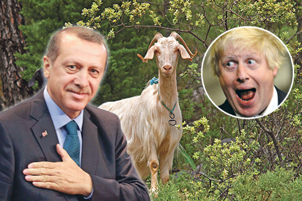 BRITANAC STIHOKLEPAC Boris Džonson: Erdogan voli seks sa kozama!
