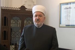 OBJAVLJENI DOKUMENTI AUSTRIJSKE SLUŽBE: Muftija Cerić stvorio terorističku mrežu u BIH