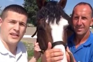 (VIDEO) OVO SIGURNO NISU OČEKIVALI: Vaterpolisti Juga za evropsku titulu dobili konja na poklon!