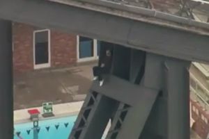 (VIDEO) HAOS U SIDNEJU: Muškarac se popeo na vrh mosta i sedeo tamo 2 sata prekrštenih ruku