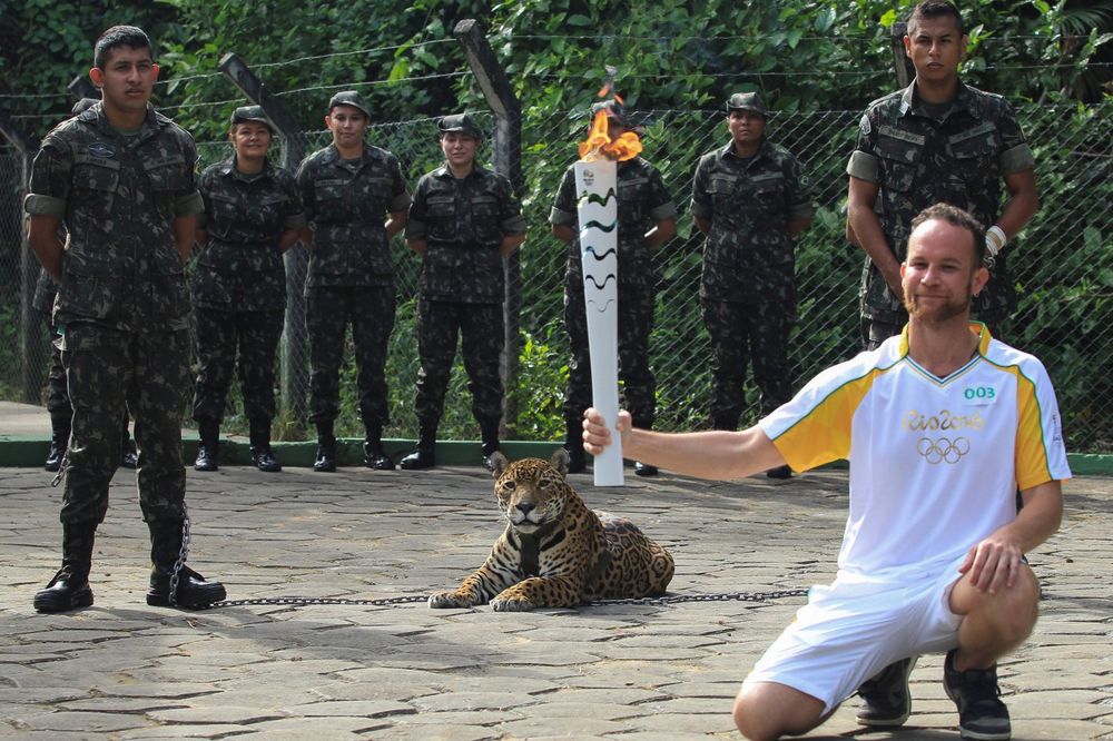 TRAGEDIJA U BRAZILU: Ubijen jaguar koji je učestvovao u Olimpijskoj ceremoniji