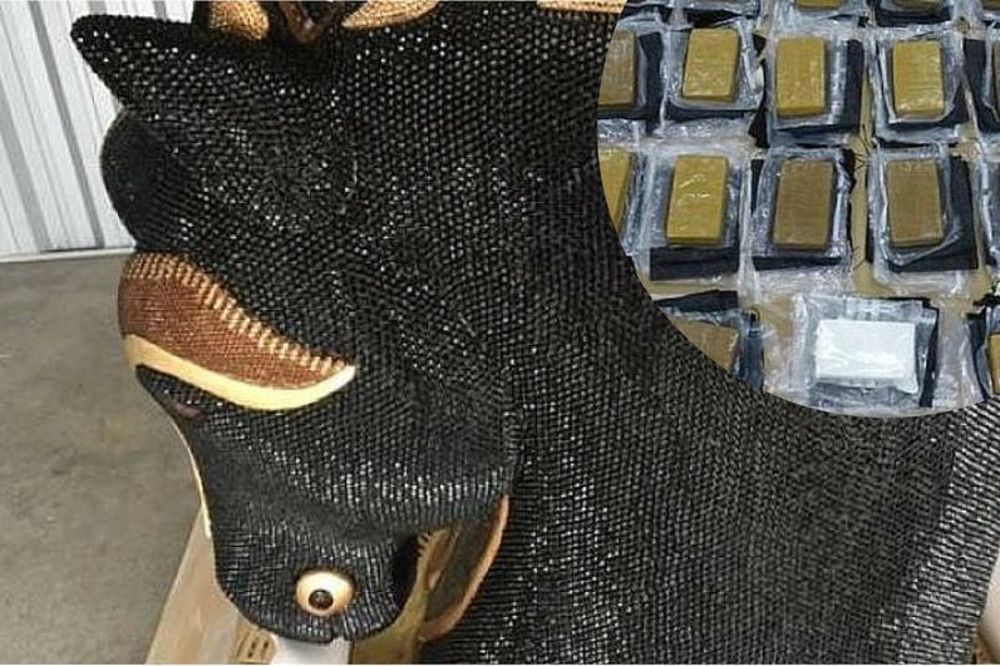 (FOTO) NOVI ZELAND: U konjskoj glavi pronađen kokain vredan 10 miliona dolara!