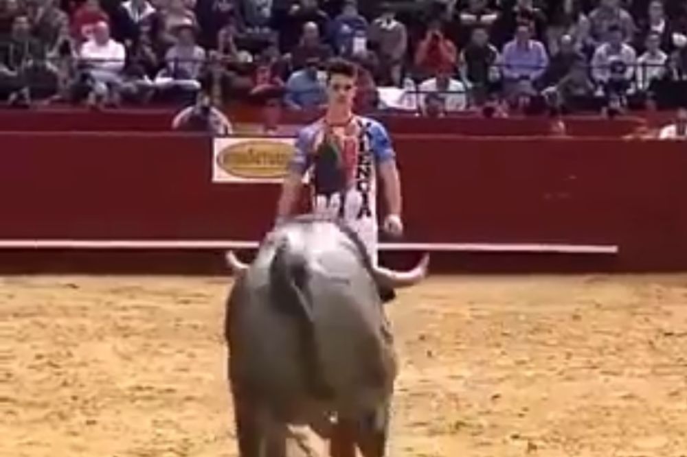 (VIDEO) HRABROST ILI LUDOST?! Neustrašivost ovog mladića pred naletom bika prevazilazi zdrav razum