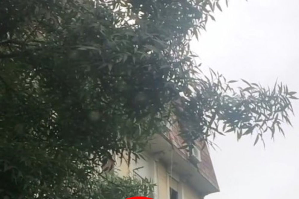 (VIDEO) UZVIKIVAO ARKAN JE ŽIV: Jeziv snimak muškarca koji je pao sa klime u centru Beograda