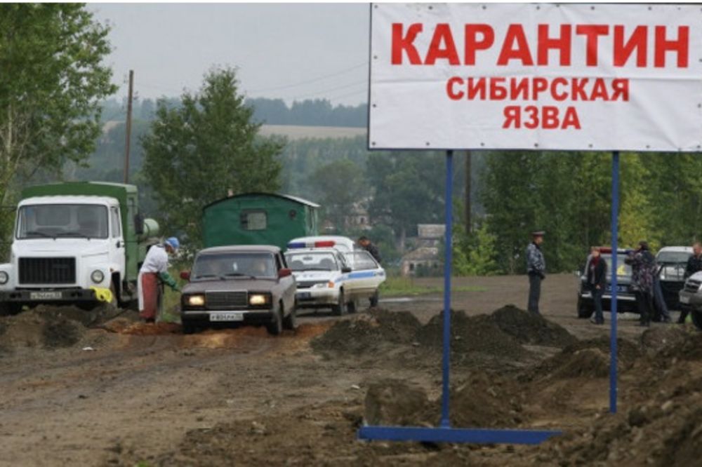 EPIDEMIJA ANTRAKSA U RUSIJI: Vrućine u Sibiru oslobodile smrtonosnu bakteriju iz zemljišta!