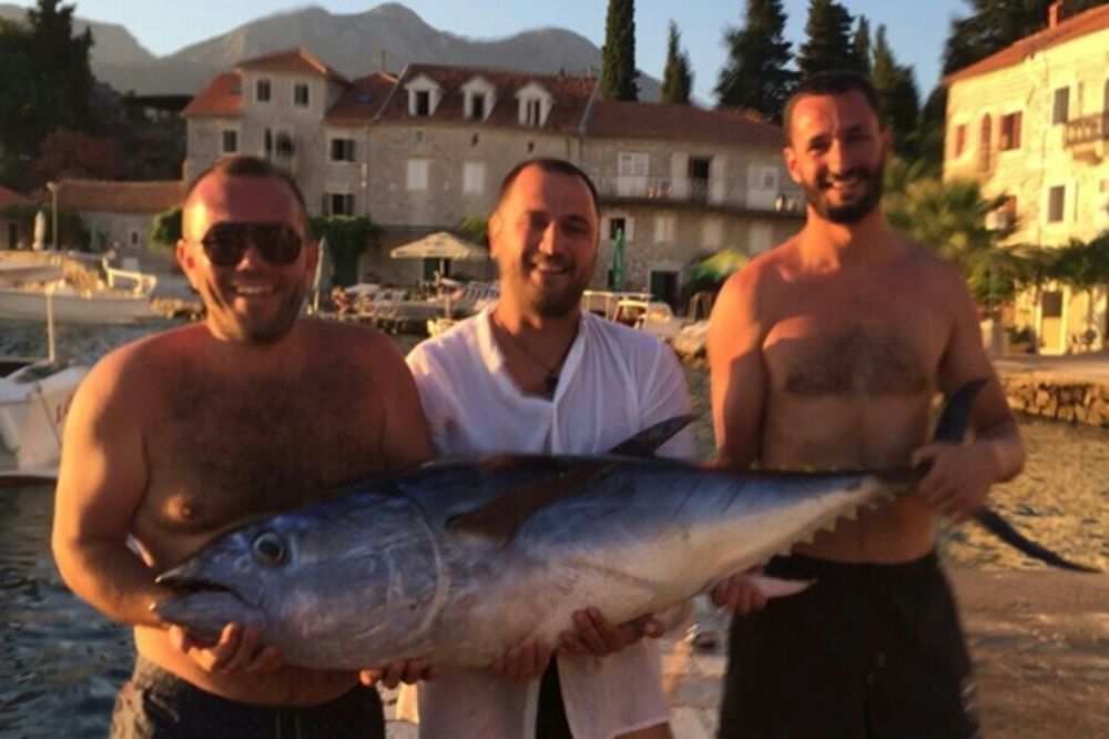 (FOTO) ULOVILI GRDOSIJU: Crnogorski ribari 90 minuta se borili sa džinovskom tunom!