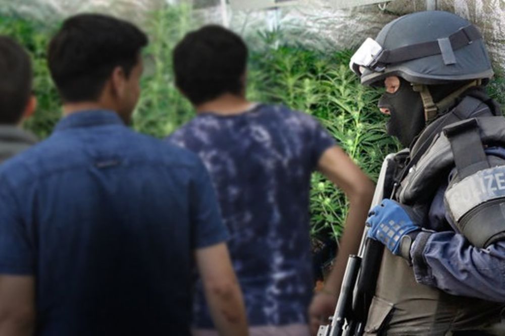AZILANTI DILOVALI DROGU U AUSTRIJI: Kod uhapšenih Avganistanaca pronađeno 50.000 evra!