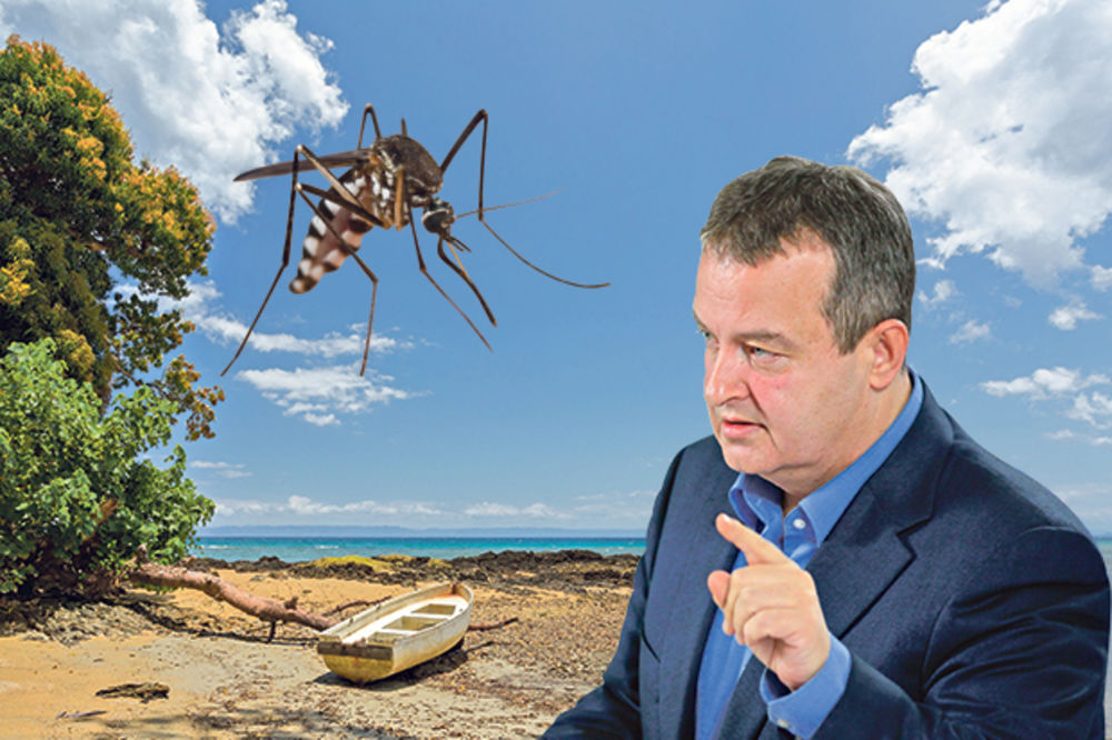 DRAMA NA MADAGASKARU: Dačića jure malarični komarci