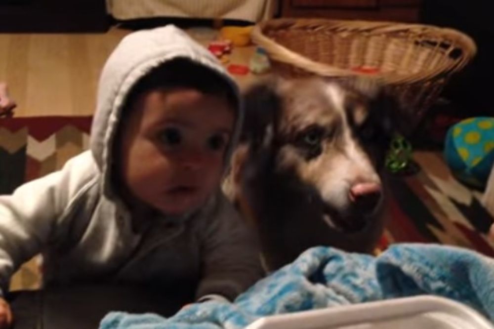 (VIDEO) UČILA JE BEBU DA KAŽE MAMA: Umrećete od smeha kad čujete šta je pas rekao!