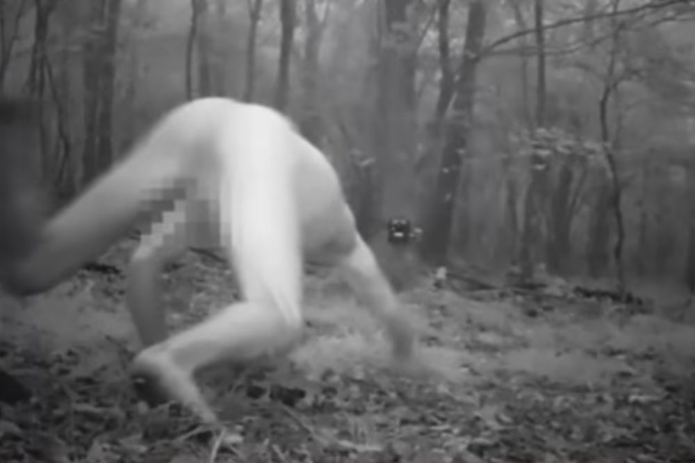 (VIDEO) PRETERAO SA DROGIRANJEM: Umislio da je tigar pa trčao go šumom na sve četiri