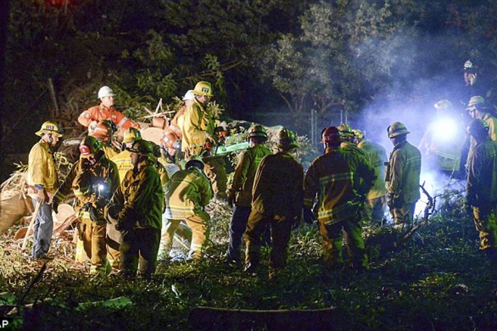 (VIDEO) CRNA SVADBA U KALIFORNIJI: Drvo eukaliptusa palo na svatove, poginula žena, dvoje kritično