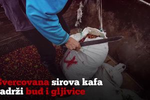 (KURIR TV) ALARMANTNO: Kafa koja se prodaje u Srbiji izaziva rak!