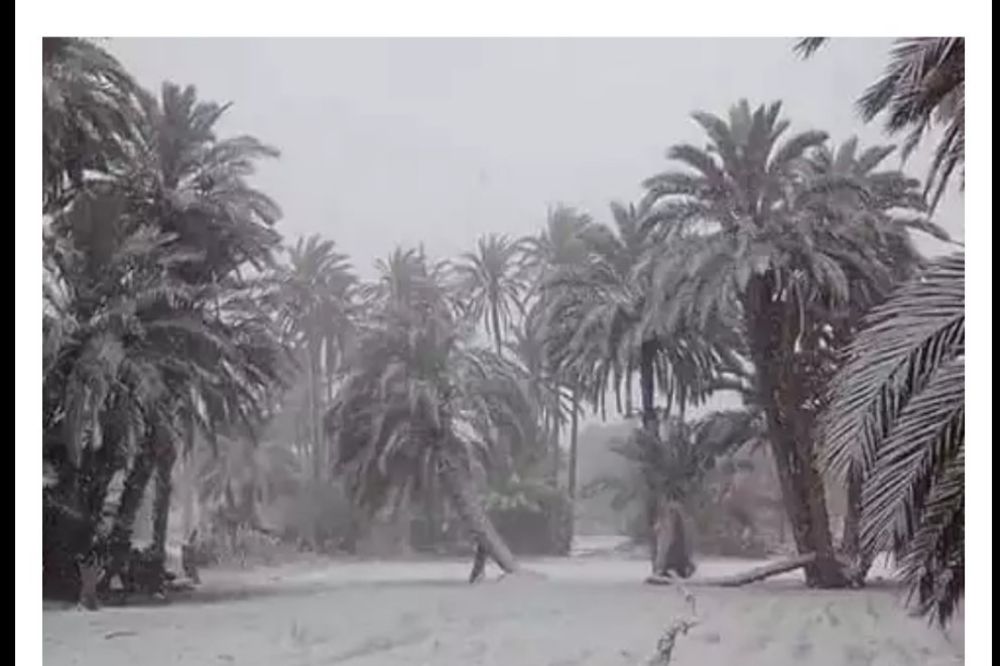 (VIDEO) SNEŽNA MEĆAVA U SAHARI: Pustinja kakvu niste videli do sada!