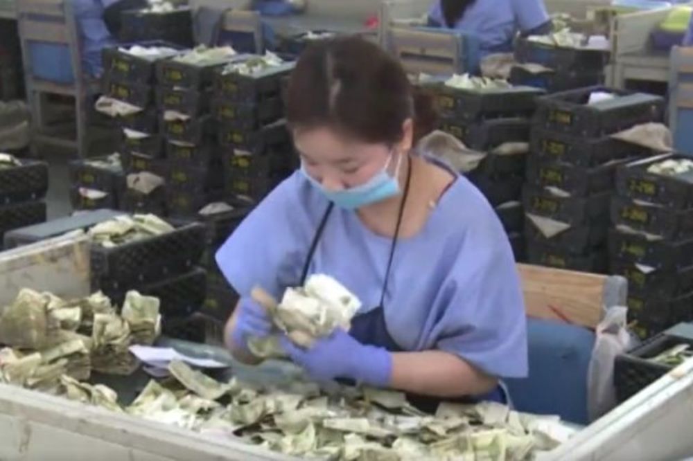 (VIDEO) KAD NEMAJU BUS PLUS: Kako radnici u kineskoj kompaniji broje novac od karata