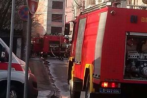 UKRASNE SIJALICE NAPRAVILE HAOS: Zapalila se jelka, deca i vatrogasci sprečili tragediju