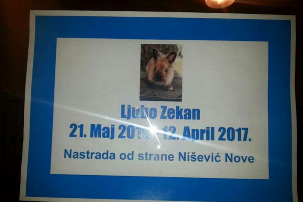 (FOTO) NEOBIČNA UMRLICA: Banjalučanin prozvao krivca za smrt ljubimca!