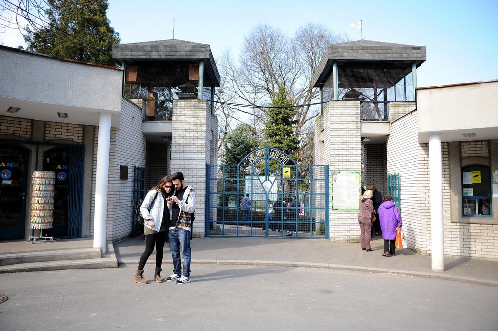 (VIDEO) NIJE SE ZNALO KO KOGA GRIZE: Opšta tuča u ZOO-vrtu u Beogradu!