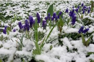 VRATILA SE ZIMA: Austrija osvanula pod snegom, a biće još hladnije!